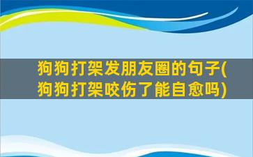 狗狗打架发朋友圈的句子(狗狗打架咬伤了能自愈吗)