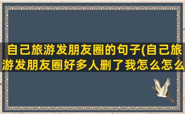 自己旅游发朋友圈的句子(自己旅游发朋友圈好多人删了我怎么怎么回事)