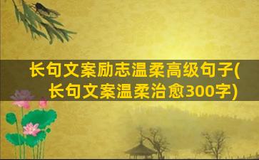 长句文案励志温柔高级句子(长句文案温柔治愈300字)